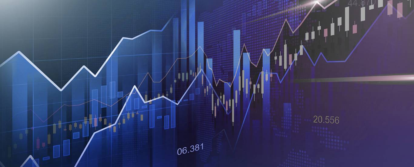 Shareholding Pattern